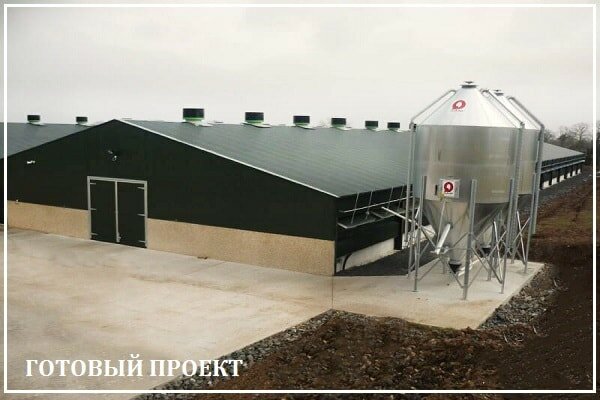 Этапы возведения птицефабрики от завода ВелесТент-шрп